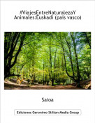 Saioa - #ViajesEntreNaturalezaYAnimales:Euskadi (pais vasco)
