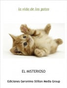 EL MISTERIOSO - la vida de los gatos