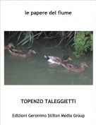 TOPENZO TALEGGIETTI - le papere del fiume