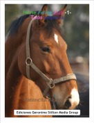 Ratoncita Dayara P. - Horse riding club -1-Todo empieza