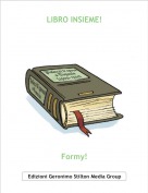 Formy! - LIBRO INSIEME!