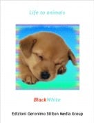 BlackWhite - Life to animals